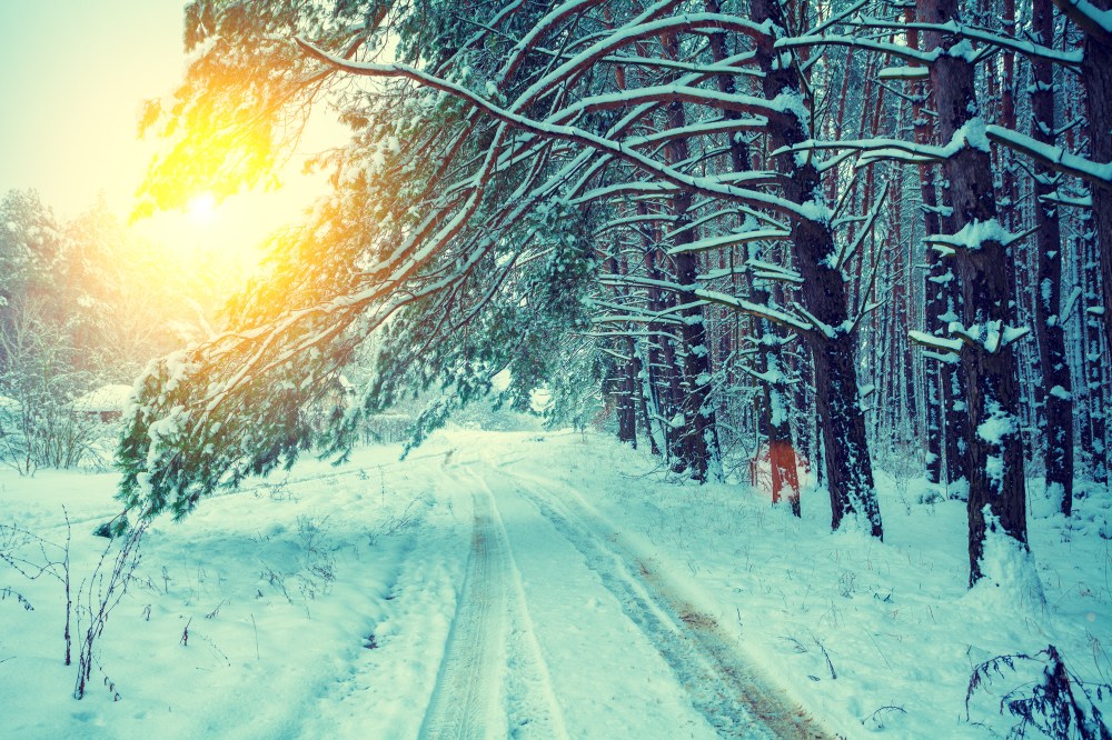 winter_shutterstock_350113271